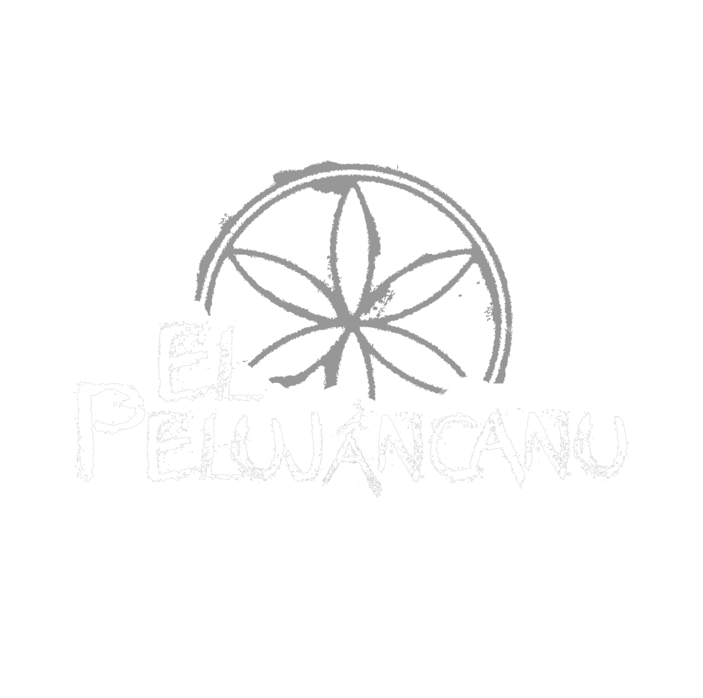 Logo grande en blanco con fondo transparente